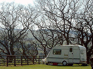 Caravan Club Certified Caravan Location in Dumfries and Galloway