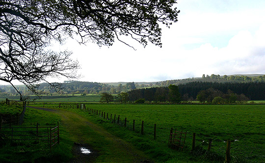 Walking along the Southern Upland Way at Newark Farm