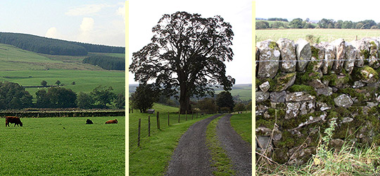 walking in dumfries and galloway, southern upland way